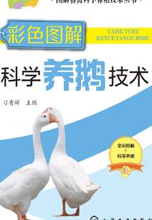 至尊起源