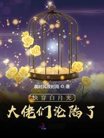 笨蛋我一直在