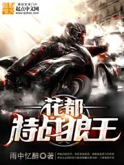 异界传奇法师