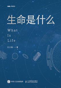 异时空之导演传奇