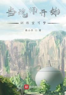 属于夜晚的黑猫