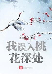 穿越之逆天二小姐