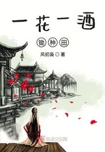 主宰铠甲系统