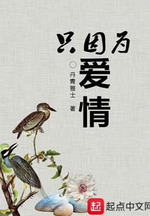 寻汣传之总裁大人护周全