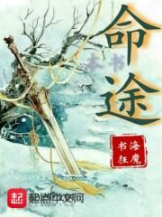我的黑客boss