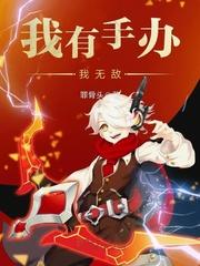 飞歌传说