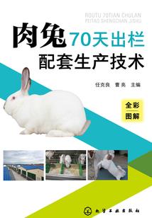 恶魔的指定情人