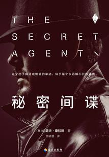 我的恶魔王爷