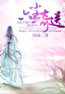 仙尘之缘