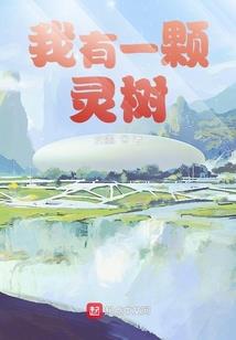 奇游乱世穿