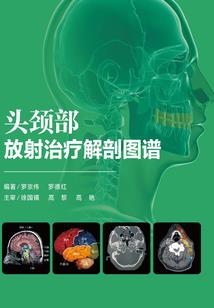 穿越之情难殇