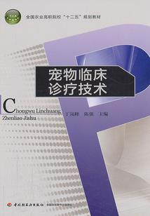 青春酸涩的模样