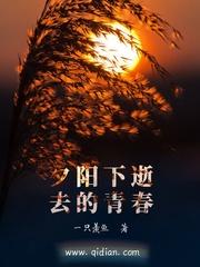武道仙魂