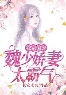单翼天使的飞翔