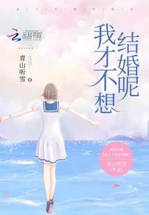 守护甜心之萌梦的复仇