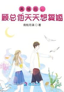 四少之爱情小说糖果