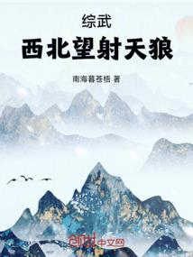 微信中的天庭