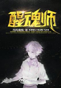 名侦探世界的律师