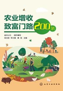 仙梦永恒