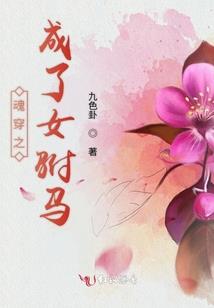 逐尘之旅