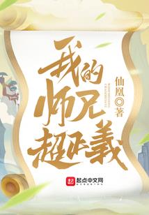 查理九世之心刺