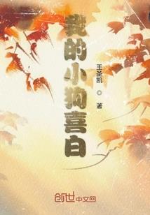 守护甜心之公主来临