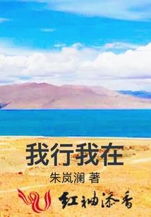 遇见他是我的结