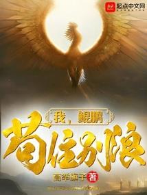 重光大陆
