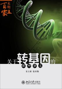 人海茫茫念念不忘