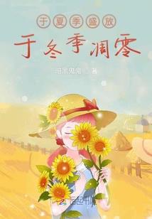 圣铠巅峰装载