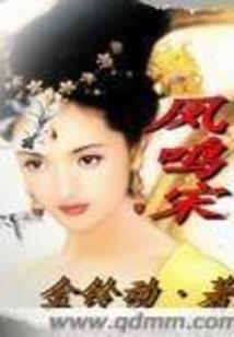 重返北极光
