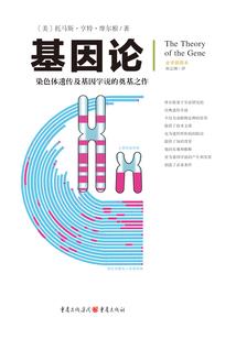 异世厨神系统