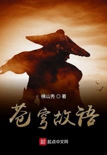 英雄之光与影