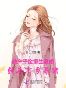 请开始我的猫生