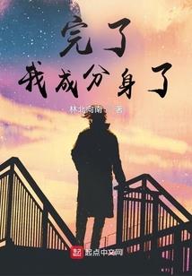 世子追爱布衣女相