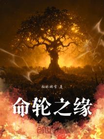 凤主万界