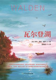 我真不是野兽派前锋