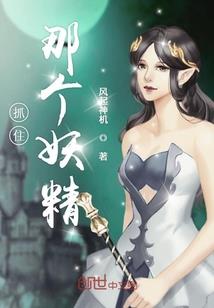 武祖之叶圣丰