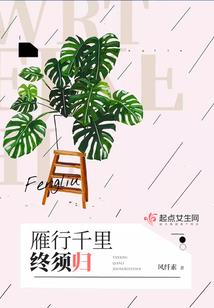 繁花错落亦如初见