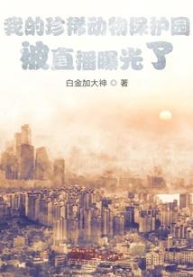 苍穹殇