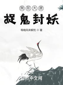 翻越高墙的常春藤