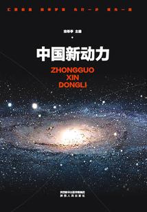 大逆天传