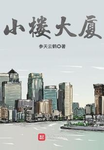 龙笑九天之初入江湖