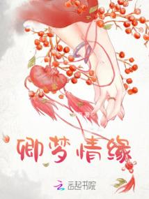 小说家之道