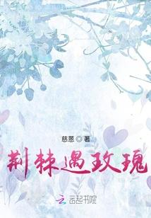 慕辰白雪千枫落