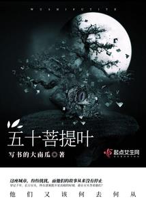 我的总裁女友(合作)