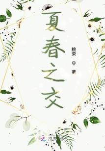 吸血鬼的除魔生涯