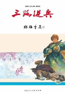 二次元传承系统