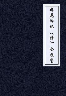 冷妃有令之王爷请绕道