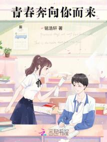 西夏的故事
